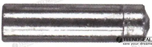 ANODO LOMBARDINI SPELTER TEN02353T