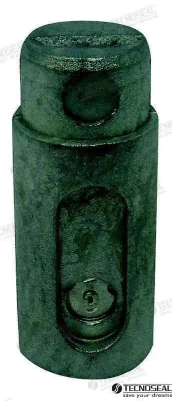 Custom Logo ANODO RENAULT TEN02090T