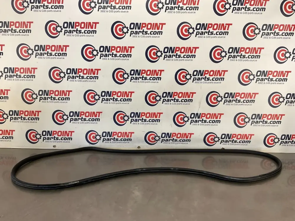 2005 Infiniti G35 Coupe Driver Left Inner Door Seal OEM 11BFMEA