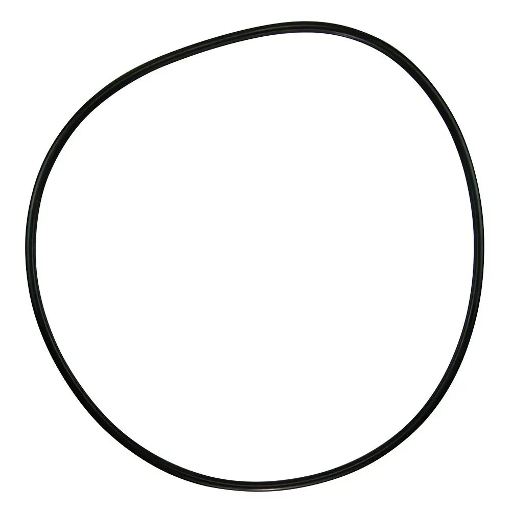 Pentair 071433 O-Ring Replacement C-Series C-18 Commercial Pool and Spa Pump