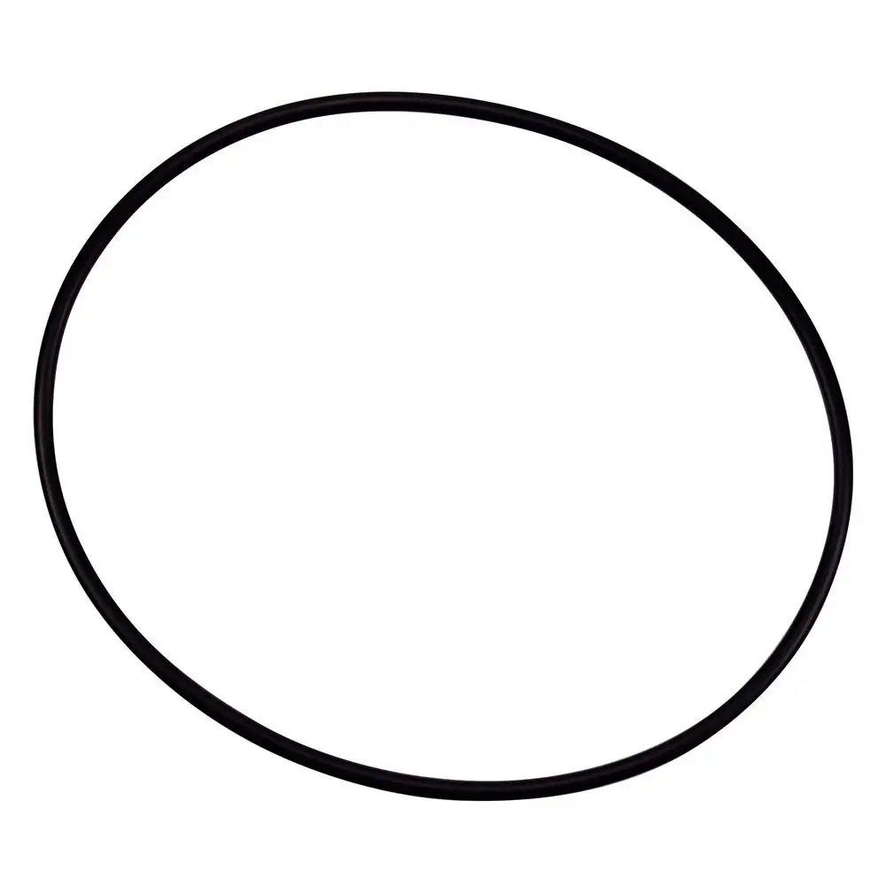 Pentair 154493 O-Ring Closure Replacement Pool/Spa Filter and Pump