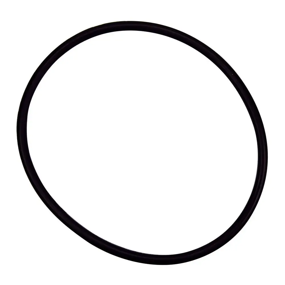 Pentair 350037 Diffuser O-Ring Replacement EQ-Series Commercial Pool and Spa Pump