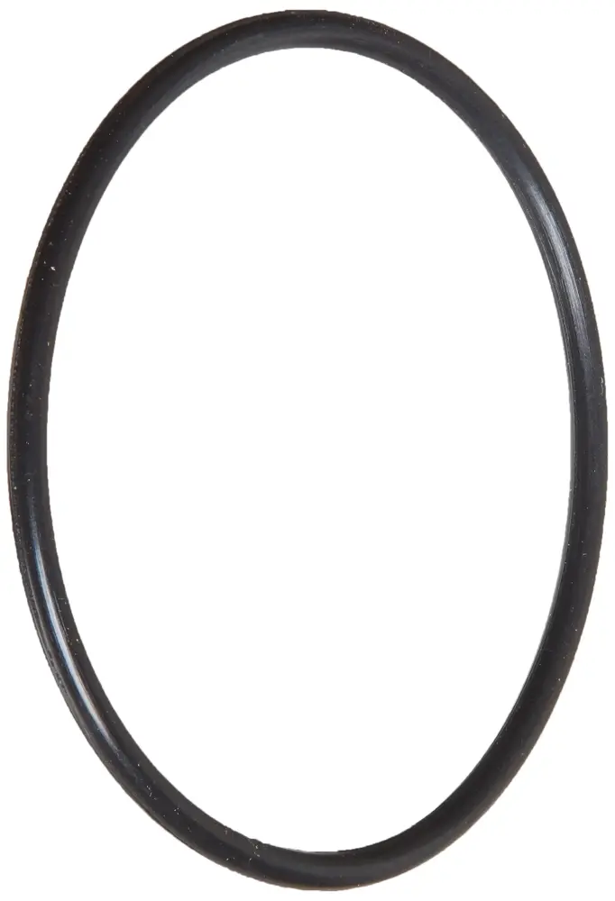 Pentair FSO Modest O-Ring Replacement Pool and Spa Liquid Applications Flowmeter