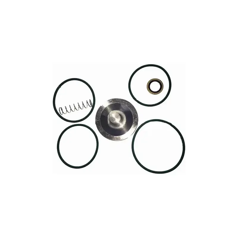 Check Valve Kit 2901008000 Atlas Copco Air Compressor