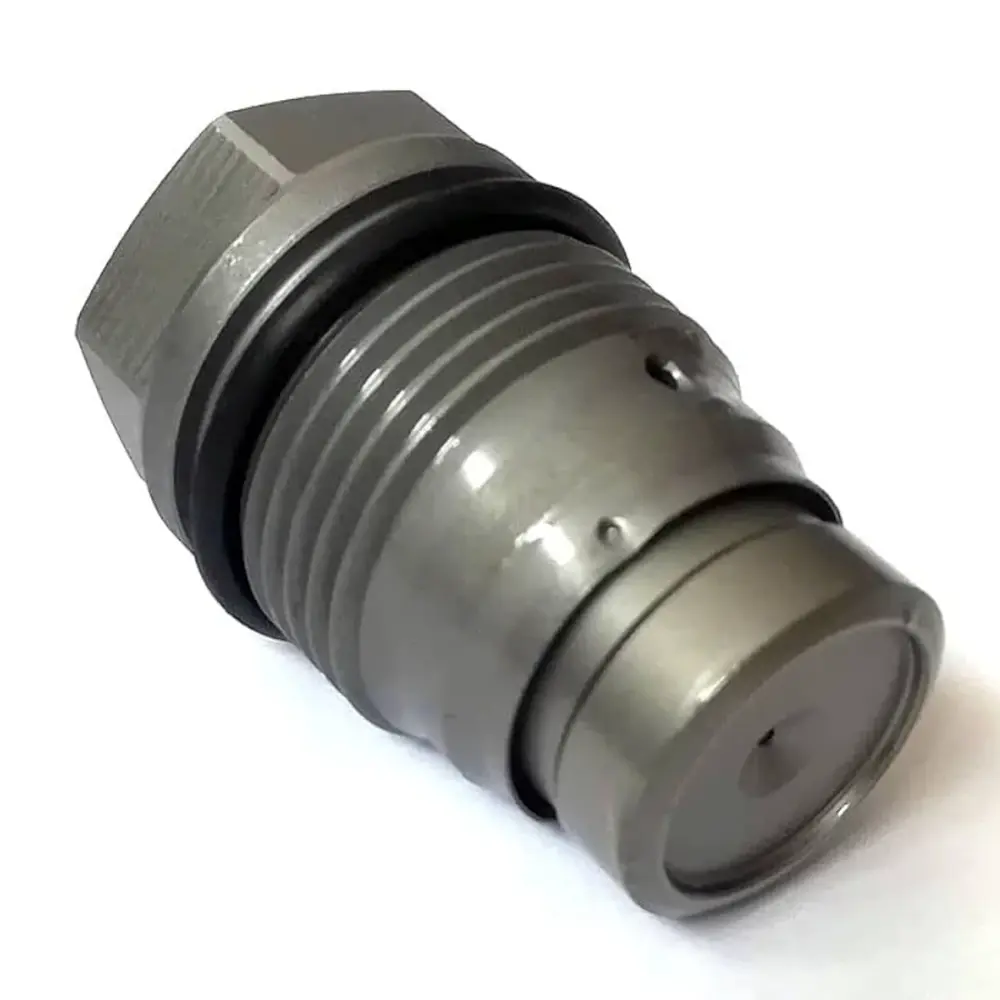 Regular Rail Pressure Relief Valve Pressure Limiting Valve 1110010016 Bosch