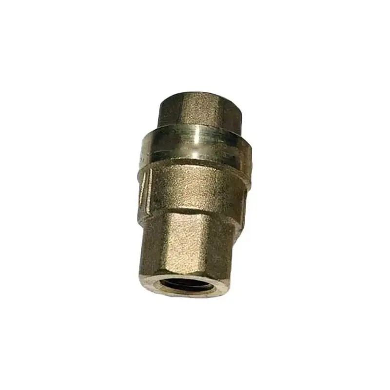 SIZE1/4PN1.6 Check Valve 2104100094 Fusheng Air Compressor