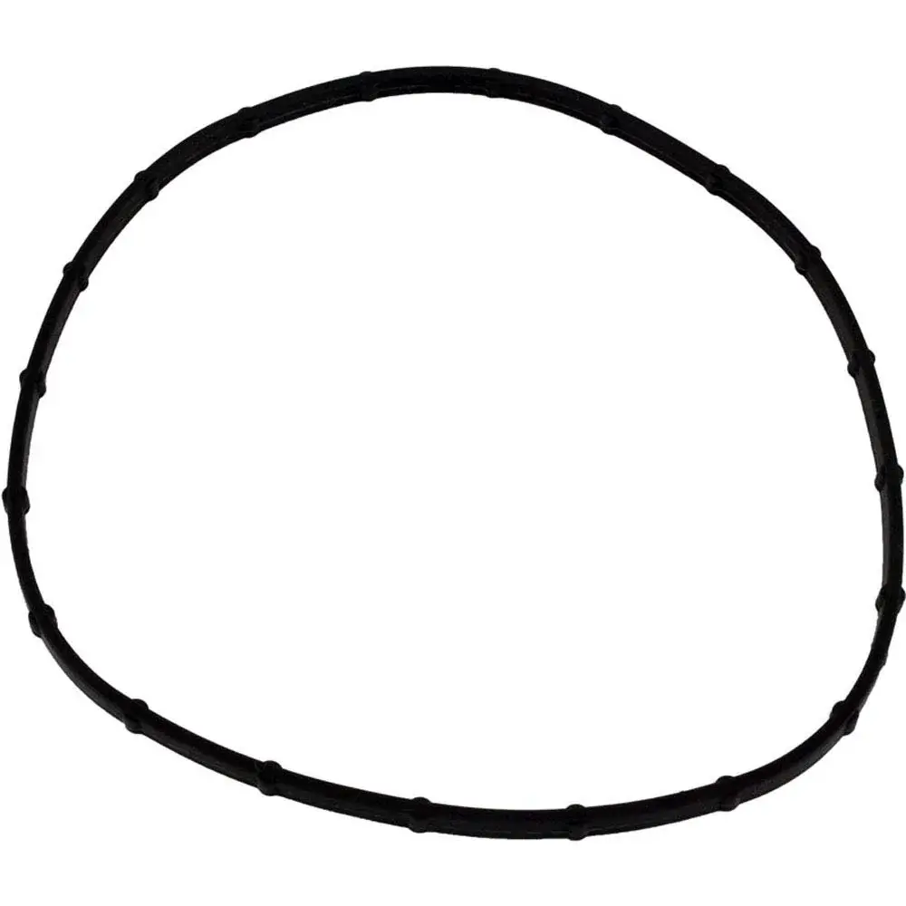 Pentair 05101-0002 Gasket Replacement Sta-Rite Sunsaver Pool and Spa Airy