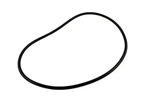 Zodiac R0480300 Backplate Seal O-Ring Replacement Zodiac Jandy FloPro FHPM Series Pump