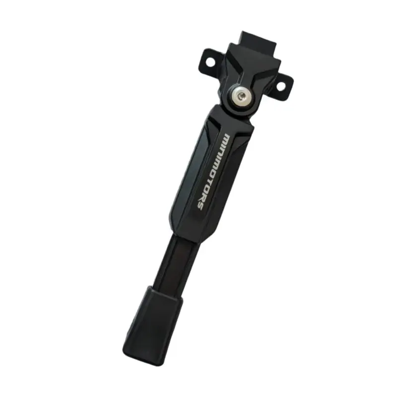 Pata Dualtron Victor 2024 [Minimotors] OEM Supplier