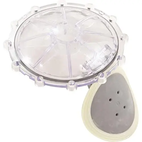 Pentair 270119Z Flap Replacement Kit, Check Valve