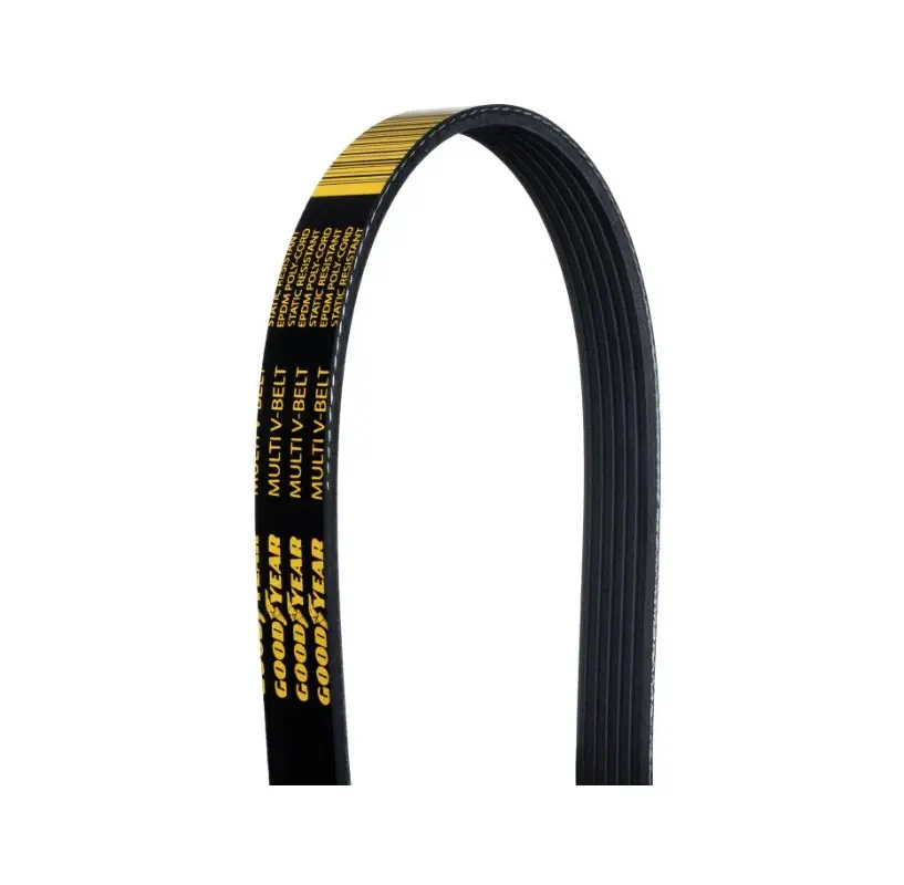 Power Steering/Water Pump Belt Replacement - Coyote 5.0 Front Drive