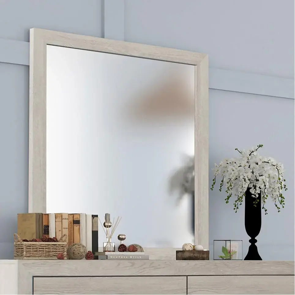 Diamond Modern Furniture CM Jaylen Dresser Mirror B9270-11