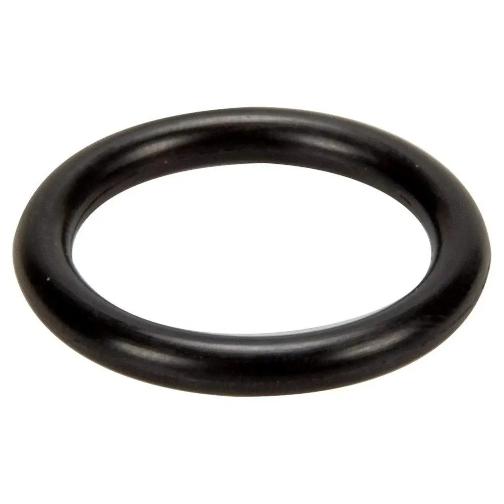 Pentair 191479 O-Ring Replacement Pool/Spa Valve and Filter