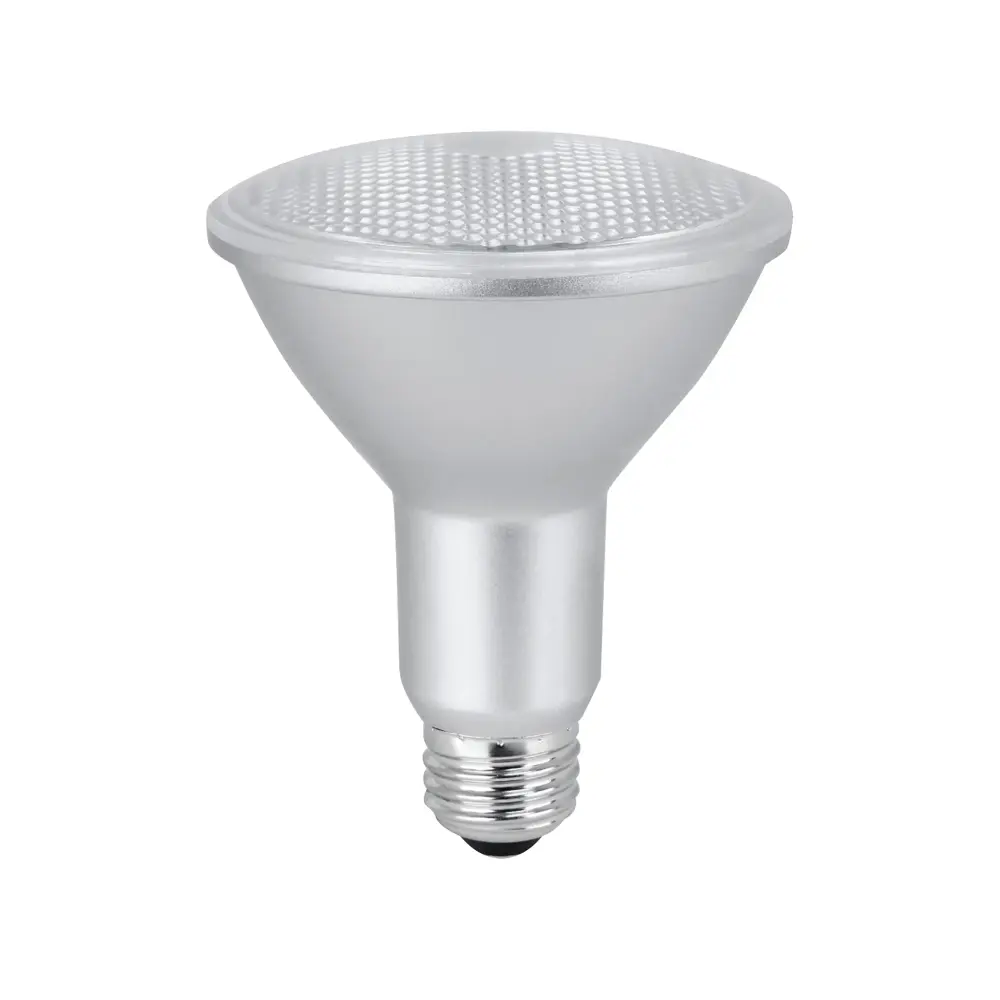 Dome Light LED Bulb PAR30, 11W