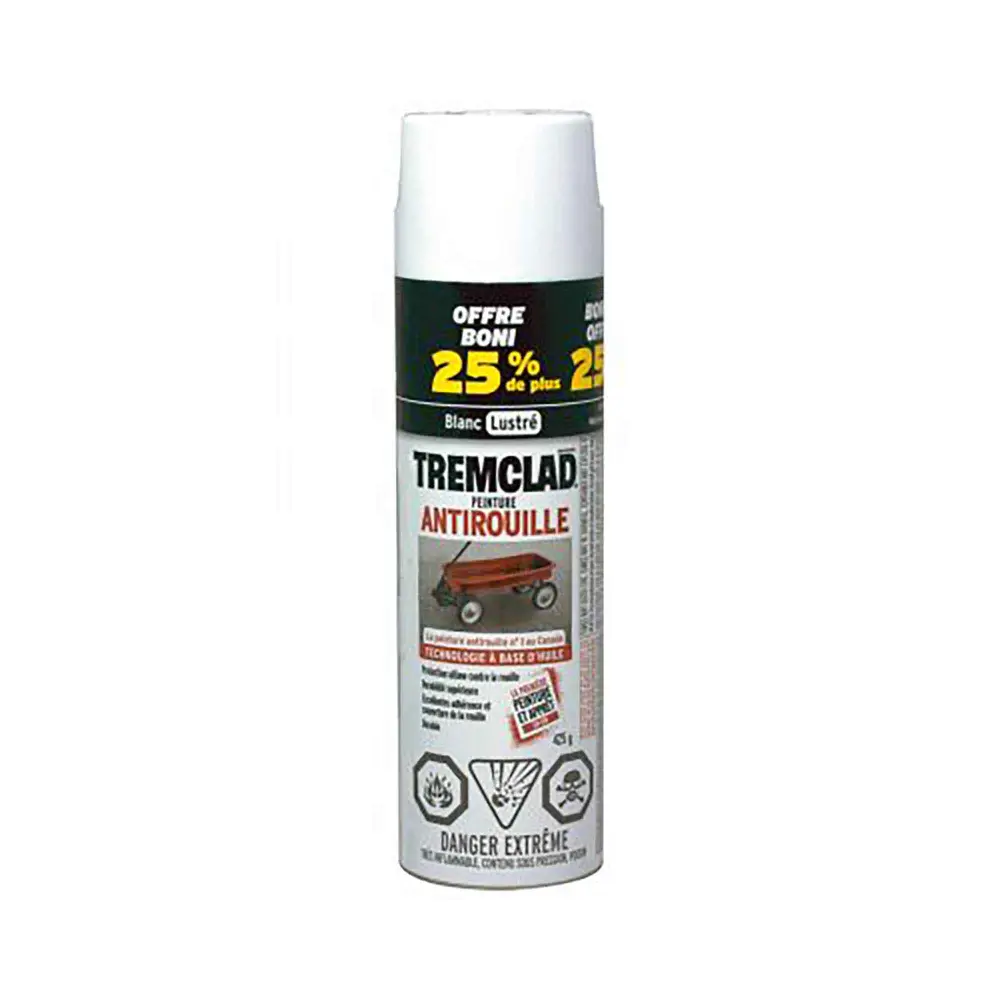 Gloss White Rust-Preventative Spray Paint, 425 g