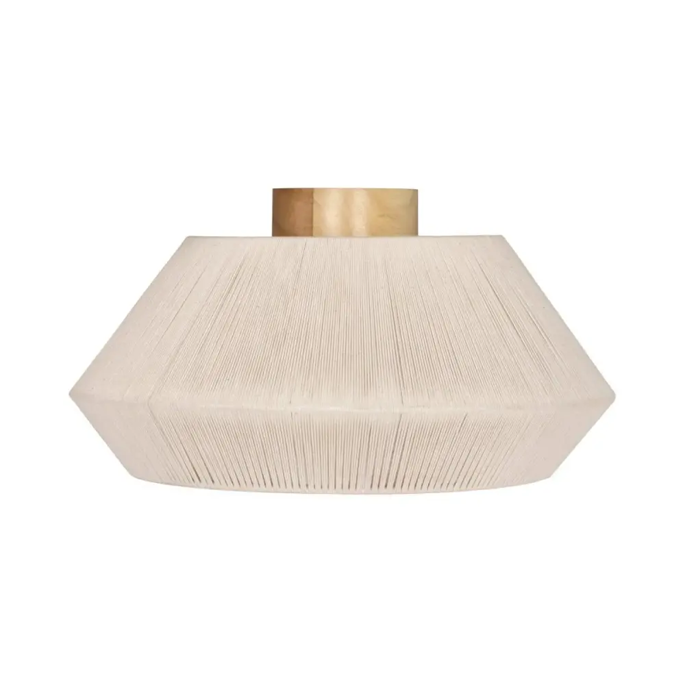 Lanier Semi-flushmount Cleaning Agents