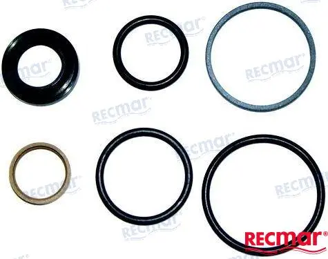 KIT REPARACION PISTON DIRECCION DPH/DPR Assorted Colors