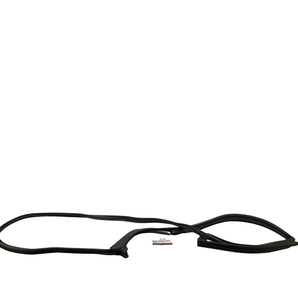 08-15 Infiniti G35 G37 Q40 Rear LH Door Shell Weatherstrip 82831JK000 OEM IPG Ages 18+