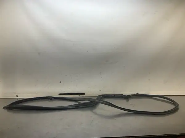 2008 Infiniti V35 G35X Rear Driver Door Shell Weatherstrip Oem 15Bd0Ga