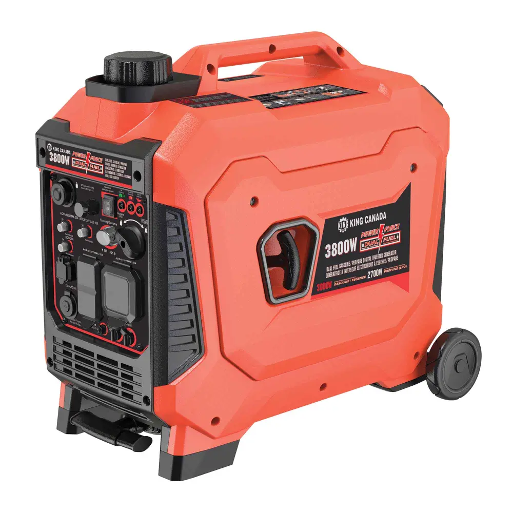 Dual Fuel Gasoline and Propane Electronic Inverter Generator, 3,800 W