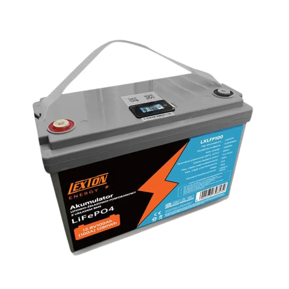 LiFePo4 Lexton lithium-iron-phosphate battery, BMS, 12.8V, 100Ah, LXLFP100