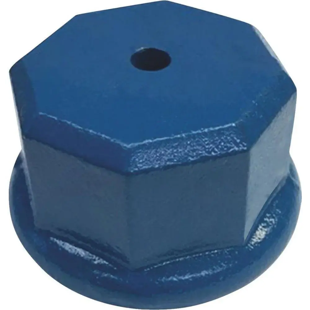 WELL DRIVE CAP 1-1/4"
